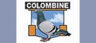 colombine2(1)