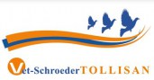 schroeder